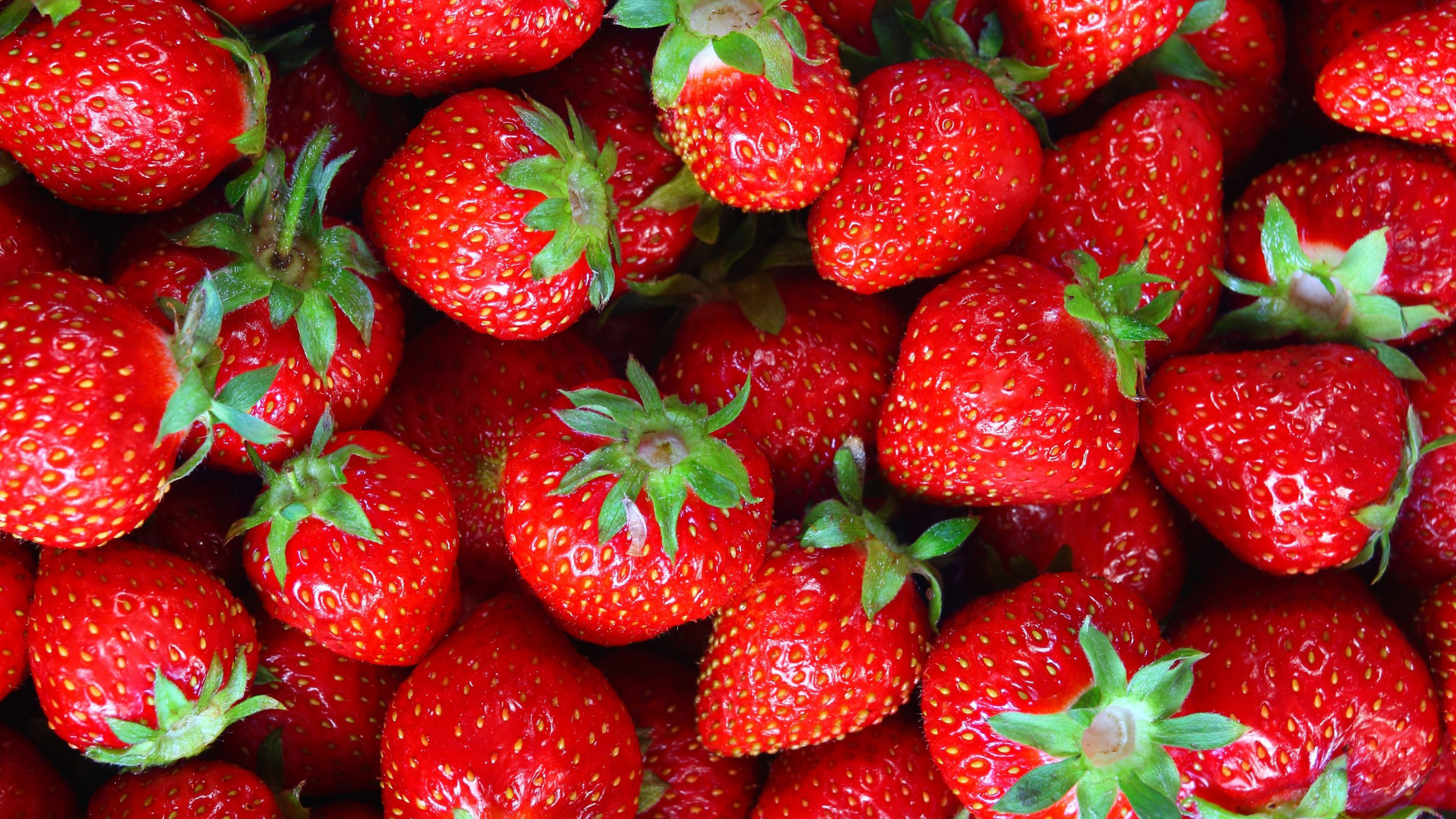 Bonafru, Sca Hortofruticola Bonares, gasolineras en Bonares
