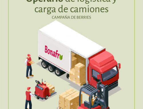 Oferta de Empleo: Buscamos operario/a de logística y carga de camiones para la campaña de Berries 2026/2027